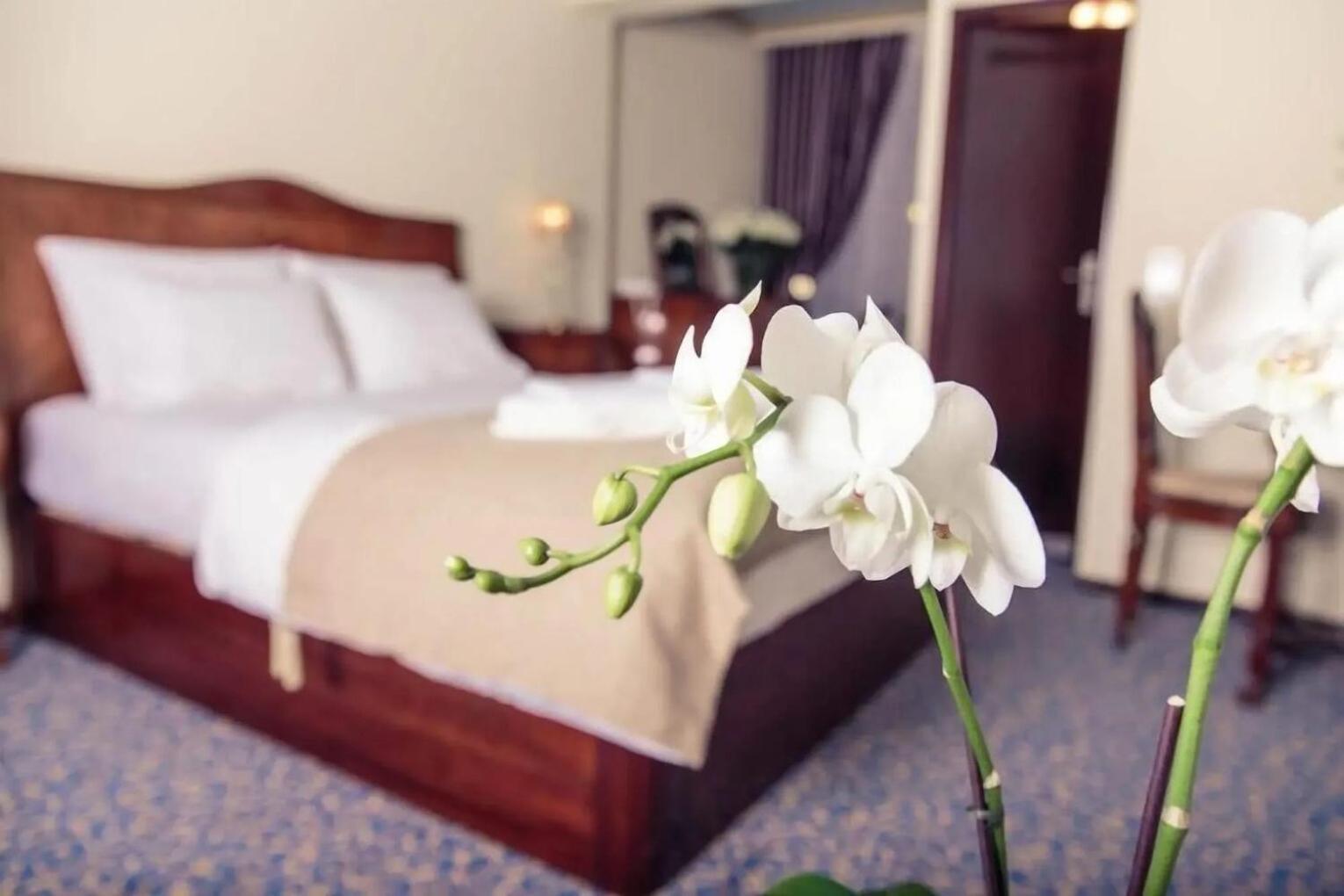 Hotel Stern 라우터바흐 외부 사진